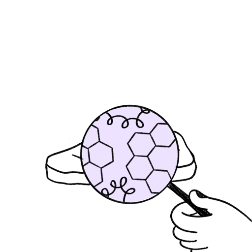 Maillard Reaction